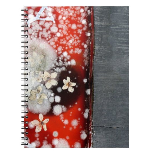 Carnet Immortalité 2 (Devant)