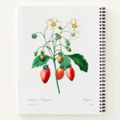 Carnet Impression botanique de fraise (Dos)