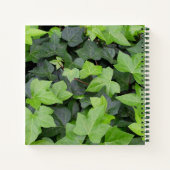 Carnet Impression botanique verte Ivy (Dos)