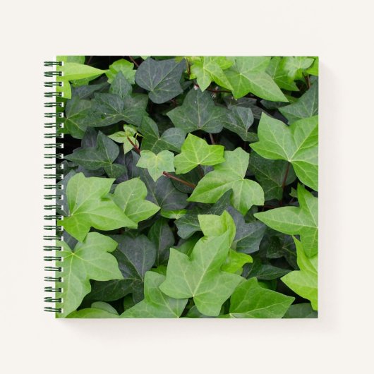 Carnet Impression botanique verte Ivy (Devant)