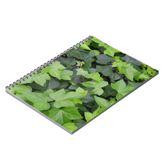 Carnet Impression botanique verte Ivy (Côté gauche)