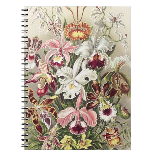 Carnet Impression botanique vintage d'orchidée par Ernst (Devant)