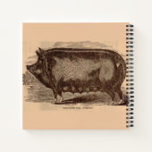 Carnet Impression de porc du 19e siècle Berkshire semé no (Dos)