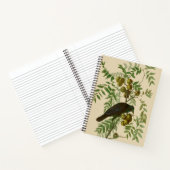Carnet Impression d'oiseau Grackle Violet d'Audubon Botan (Intérieur)