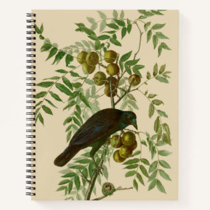 Carnet Impression d'oiseau Grackle Violet d'Audubon Botan