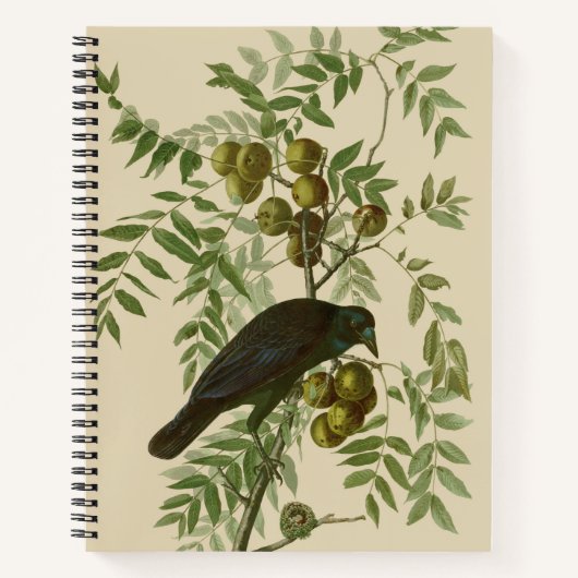 Carnet Impression d'oiseau Grackle Violet d'Audubon Botan (Devant)