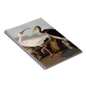 Carnet Impression d'oiseau Ibis blanc de John James Audub (Côté Droit)