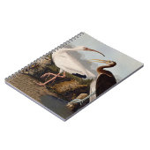 Carnet Impression d'oiseau Ibis blanc de John James Audub (Côté gauche)