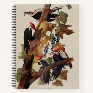 Carnet Impression d'oiseau Pic à tête rouge de John James