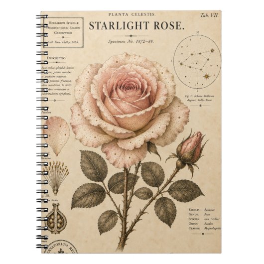 Carnet Impression du Musée botanique victorien Starlight (Devant)