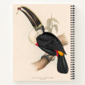Carnet Impression du Toucan de Cuvier : Oiseau Tropical V (Dos)