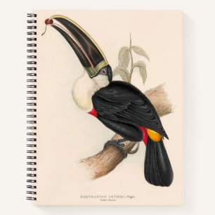 Carnet Impression du Toucan de Cuvier : Oiseau Tropical V