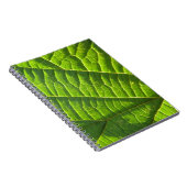 Carnet imprimé vert cool (Côté Droit)