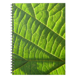 Carnet imprimé vert cool