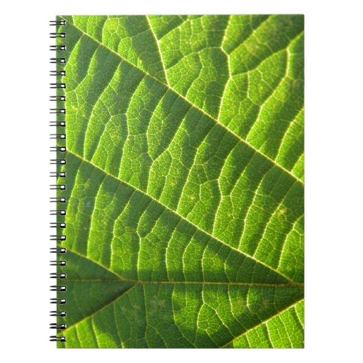 Carnet imprimé vert cool (Devant)