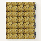 Carnet Indian Sweet Til Laddu Sweet Food (Dos)