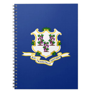 Carnet Indicateur d'état Connecticut