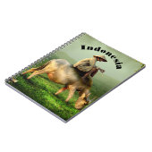 Carnet Indonesia Scenic landscape with Buffalo and Farmer (Côté gauche)