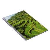 Carnet Indonésie, Bali| Rizières (Côté Droit)