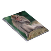 Carnet Indonésie, Bali, Ubud, Macaque à longue queue (Côté Droit)