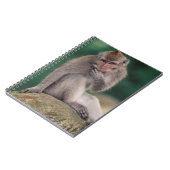 Carnet Indonésie, Bali, Ubud, Macaque à longue queue (Côté gauche)