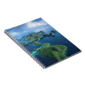 Carnet Indonésie, Papouasie occidentale. Aéroport De Raja (Côté Droit)