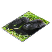 Carnet Infant Mountain Gorilla Kisses Silverback (Côté gauche)