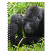 Carnet Infant Mountain Gorilla Kisses Silverback (Devant)