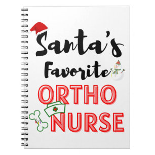 Carnet infirmière orthopédique de Noël