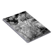 Carnet Infra rouge d'arbres bâtiments et sentiers de Las  (Côté Droit)