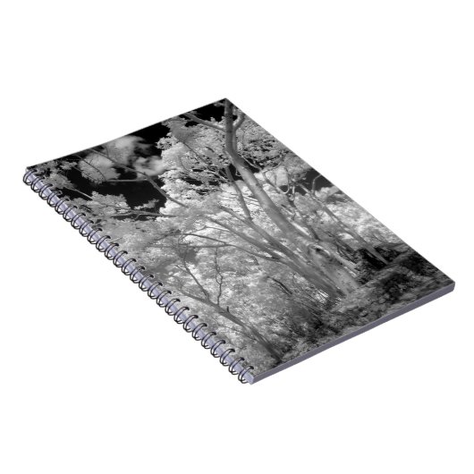 Carnet Infra rouge d'arbres bâtiments et sentiers de Las (Côté Droit)