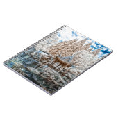 Carnet Infrarouge chinois de jardin (Côté gauche)