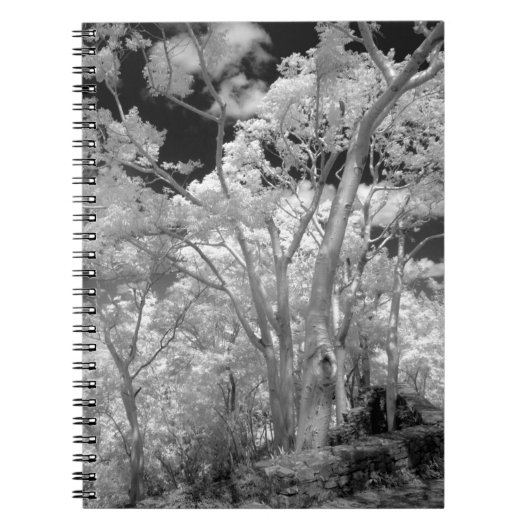 Carnet Infrarouge d'arbres bâtiments et sentiers à Las 2 (Devant)