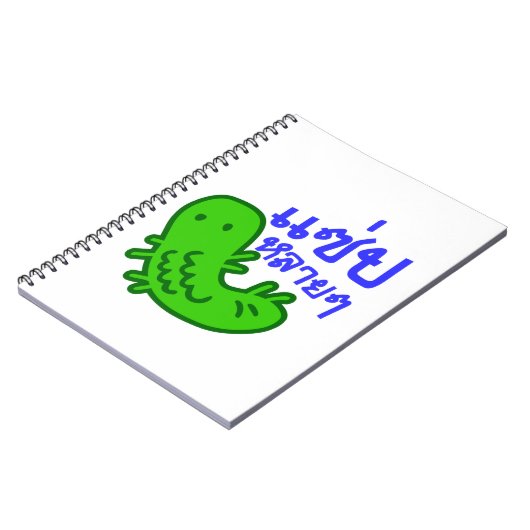 Carnet Insecte comestible > Trop de saveur ♦ Saep Lai Lai (Côté gauche)