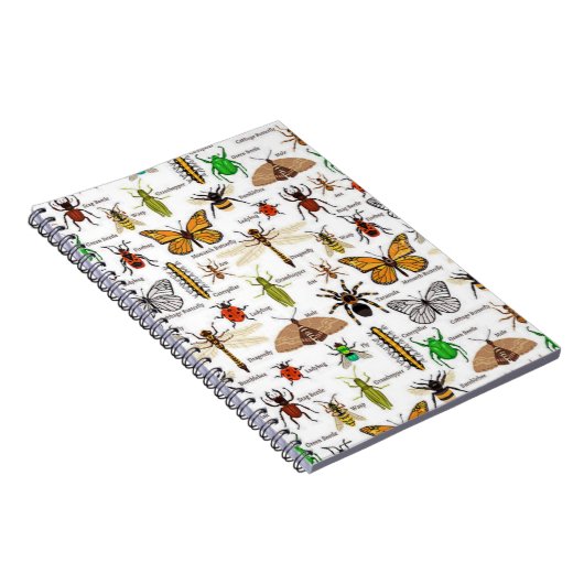 Carnet Insectes (Côté Droit)