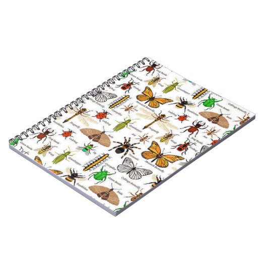 Carnet Insectes (Côté gauche)