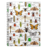 Carnet Insectes (Devant)