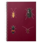 Carnet Insectes 2011 (Devant)