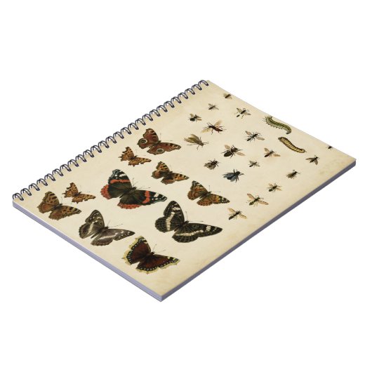 Carnet Insectes de jardin par Vision Studio (Côté gauche)