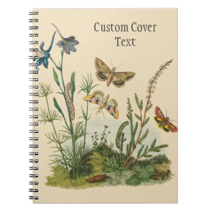 Carnet Insectes de jardin vintage, papillons, chenilles