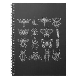 Carnet Insectes Entomologiste Funny Entomologiste Entomol