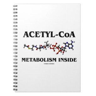 Carnet Intérieur du métabolisme Acétyle-CoA (molécule