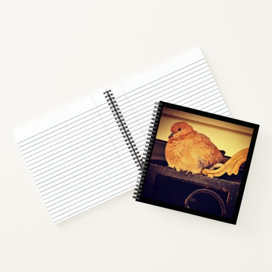 Carnet Intermission (Intérieur)