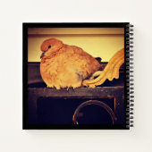 Carnet Intermission (Dos)