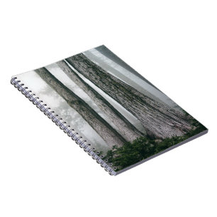 Carnet Invoquer la forêt