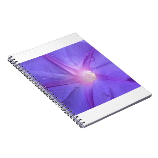 Carnet ipomée (Côté Droit)