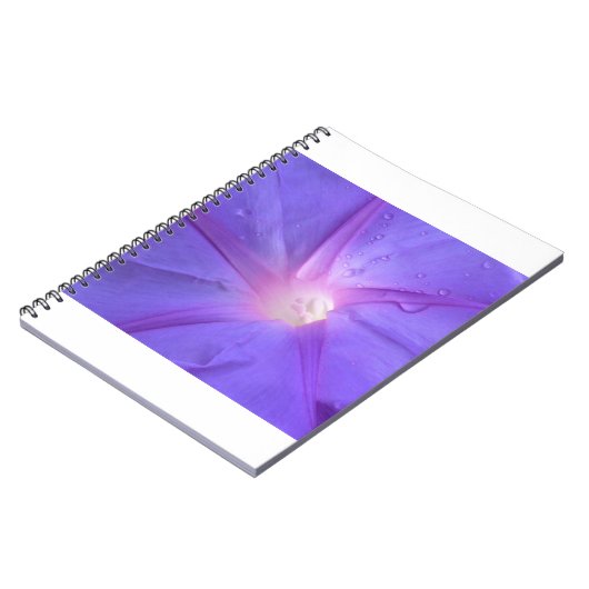 Carnet ipomée (Côté gauche)