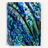 Carnet Iridesca Paua Abalone Shell (Devant)