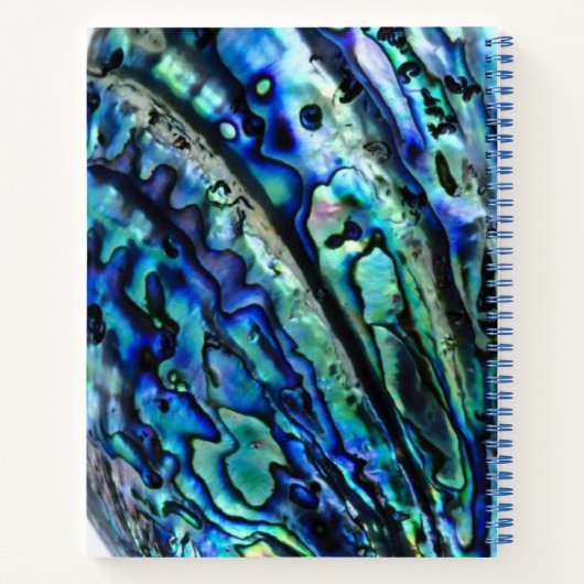 Carnet Iridesca Paua Abalone Shell (Dos)