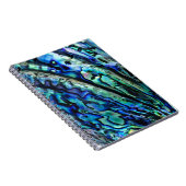 Carnet Iridescente Paua Abalone Shell (Côté Droit)